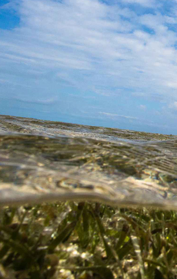 Ascension Bay