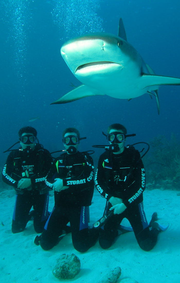 Bahamas Diving