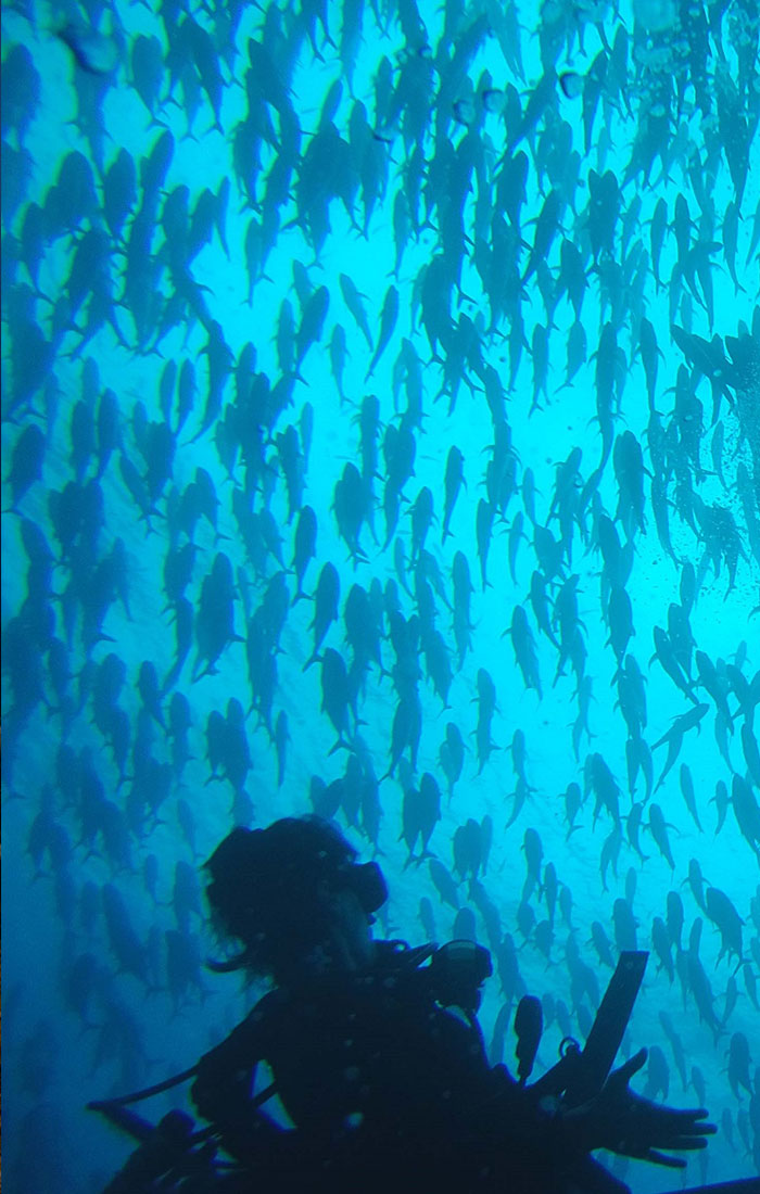 Caño Island
