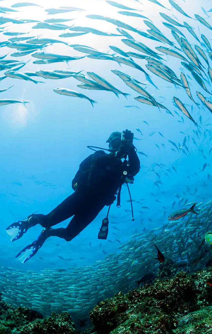 Galapagos Islands