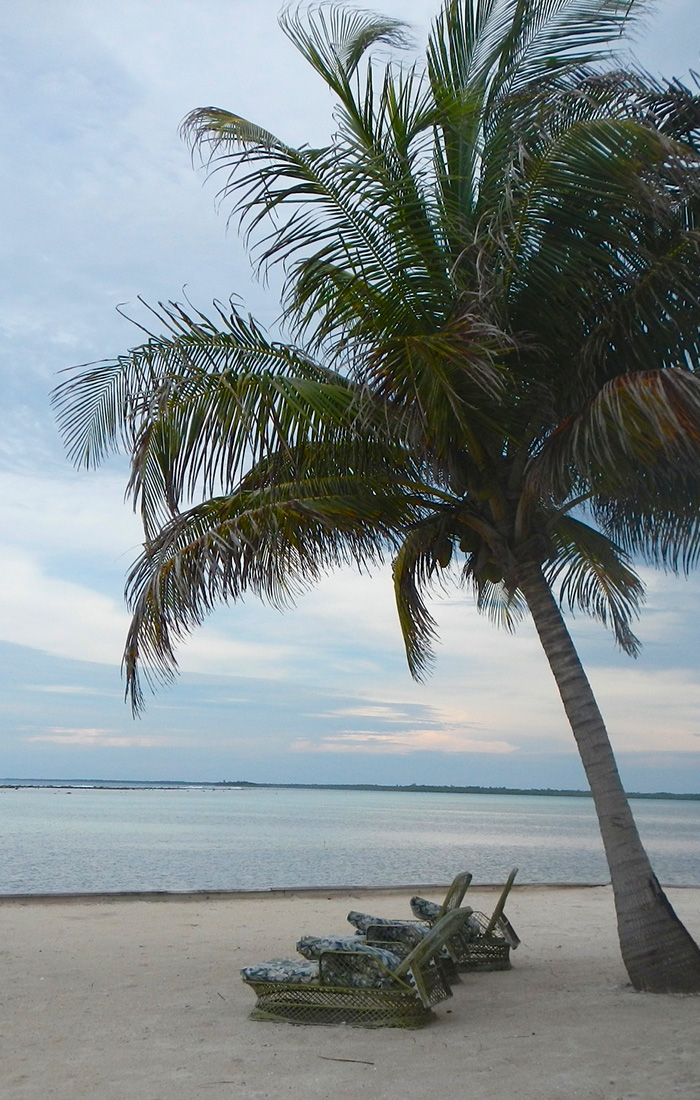 Tarpon Caye Lodge