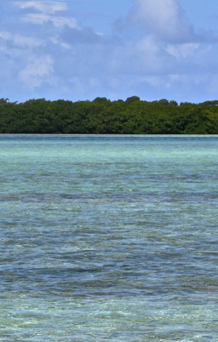Los Roques