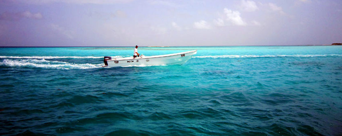 home_journey_blog8