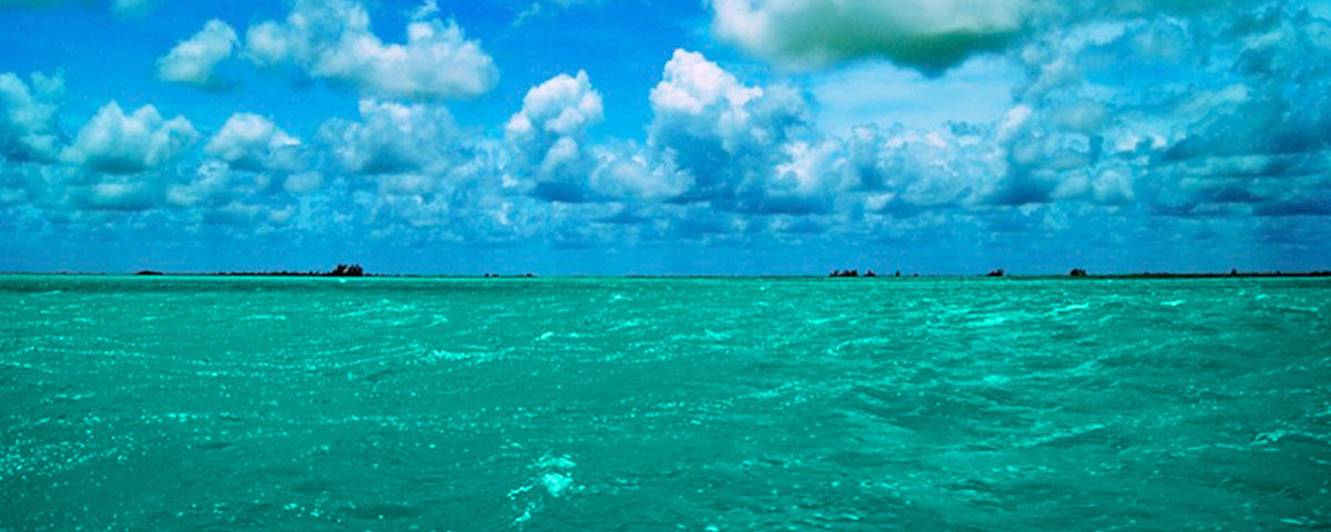 home_journey_blog8